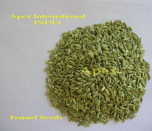 Fennel Seeds