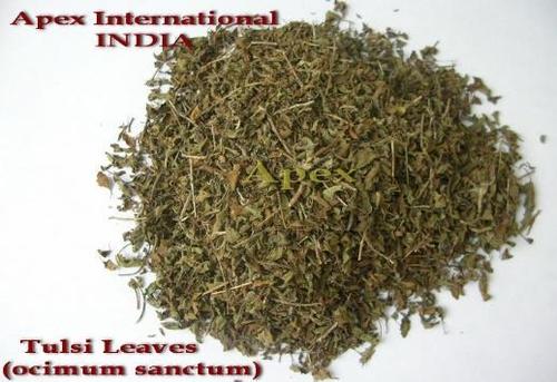 Ocimum Sanctum Ingredients: Herbs