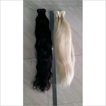 Long Human Hair at Best Price in Chennai, Tamil Nadu | Jp Human Hair Export