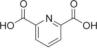 2 6 Dipicolinic Acid