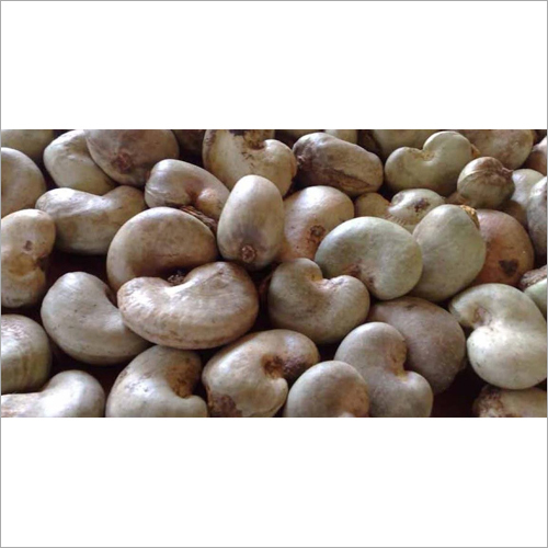 Organic Cashew Nuts