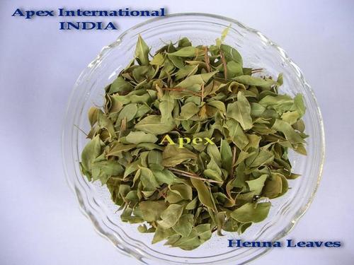 Lawsonia Inermis Leaves Ingredients: Henna Leaf