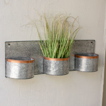 Naturals Antique Galvanized Wall Palnter