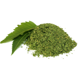 Neem Powder