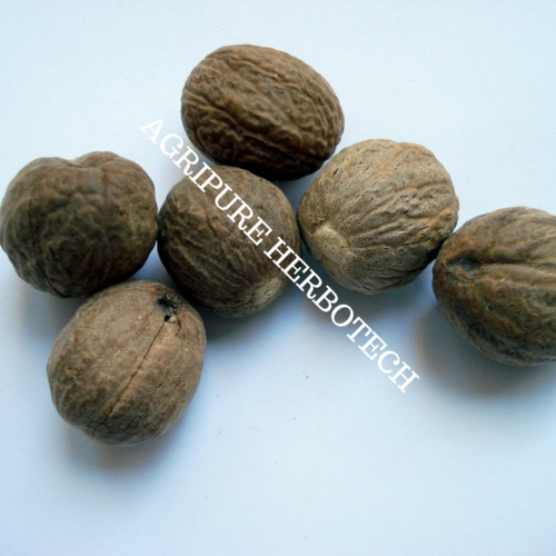 Nutmeg Oil