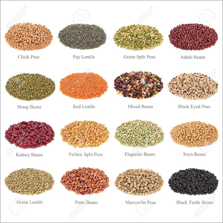 Pulses & Beans