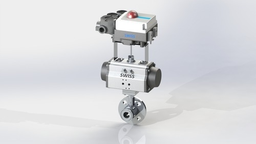 Flush Bottom Valve Flange & TC with Positioner