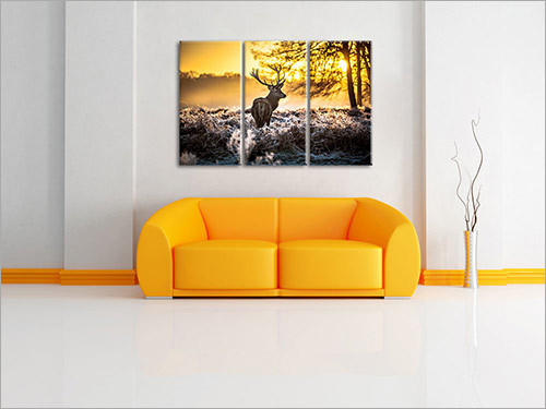 Digital Canvas Printing in Hyderabad