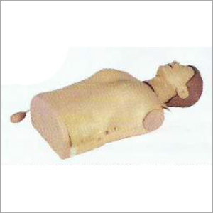 Half Body CPR Training Manikin