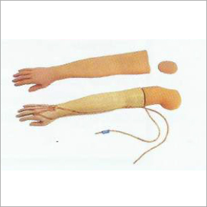 Multi Functional IV Training Arm