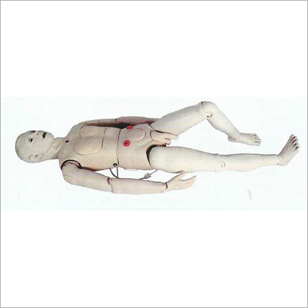 Multi Functional Nursing Simulator (Male)