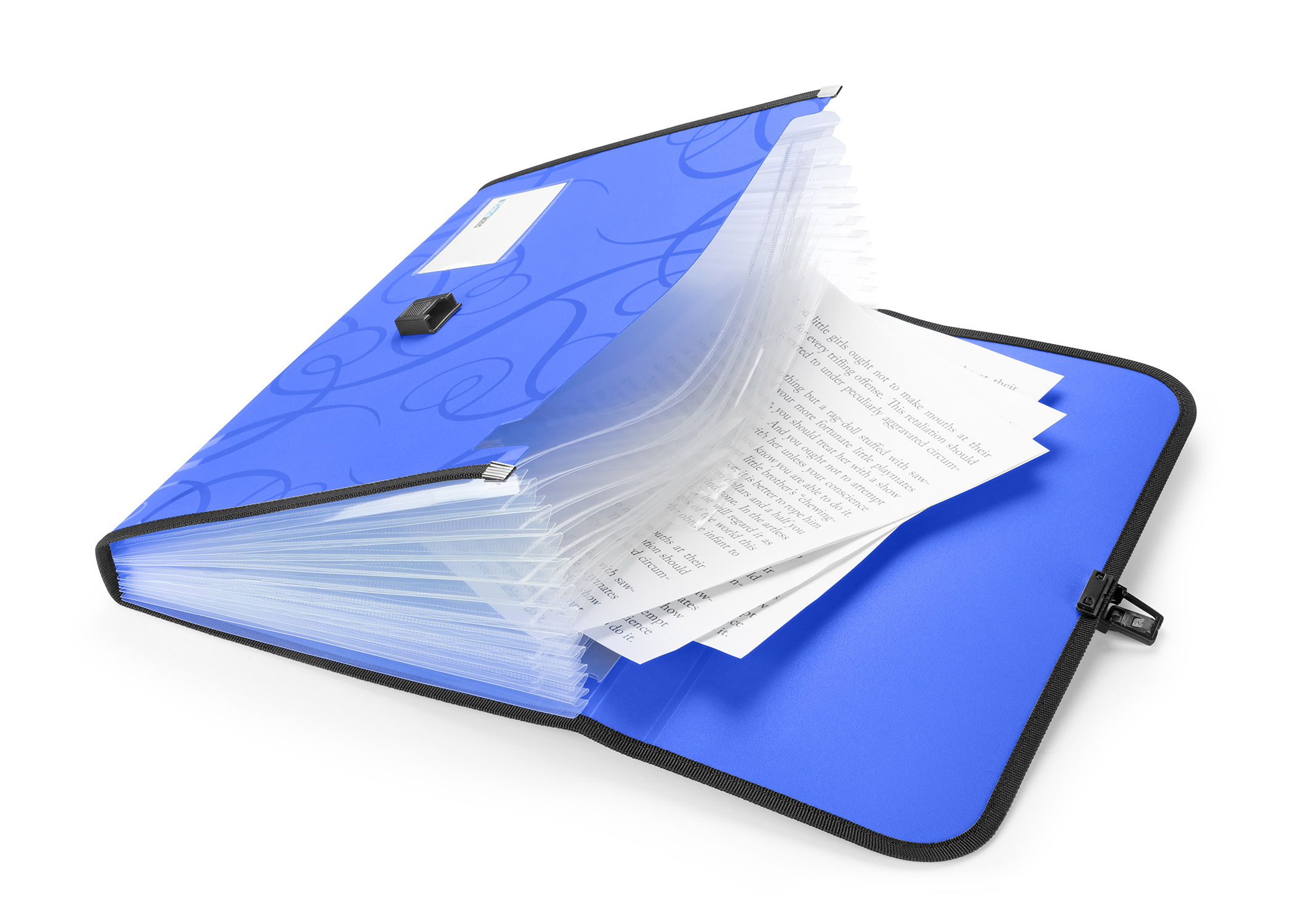 EXPANDING FILE 13 PKTS