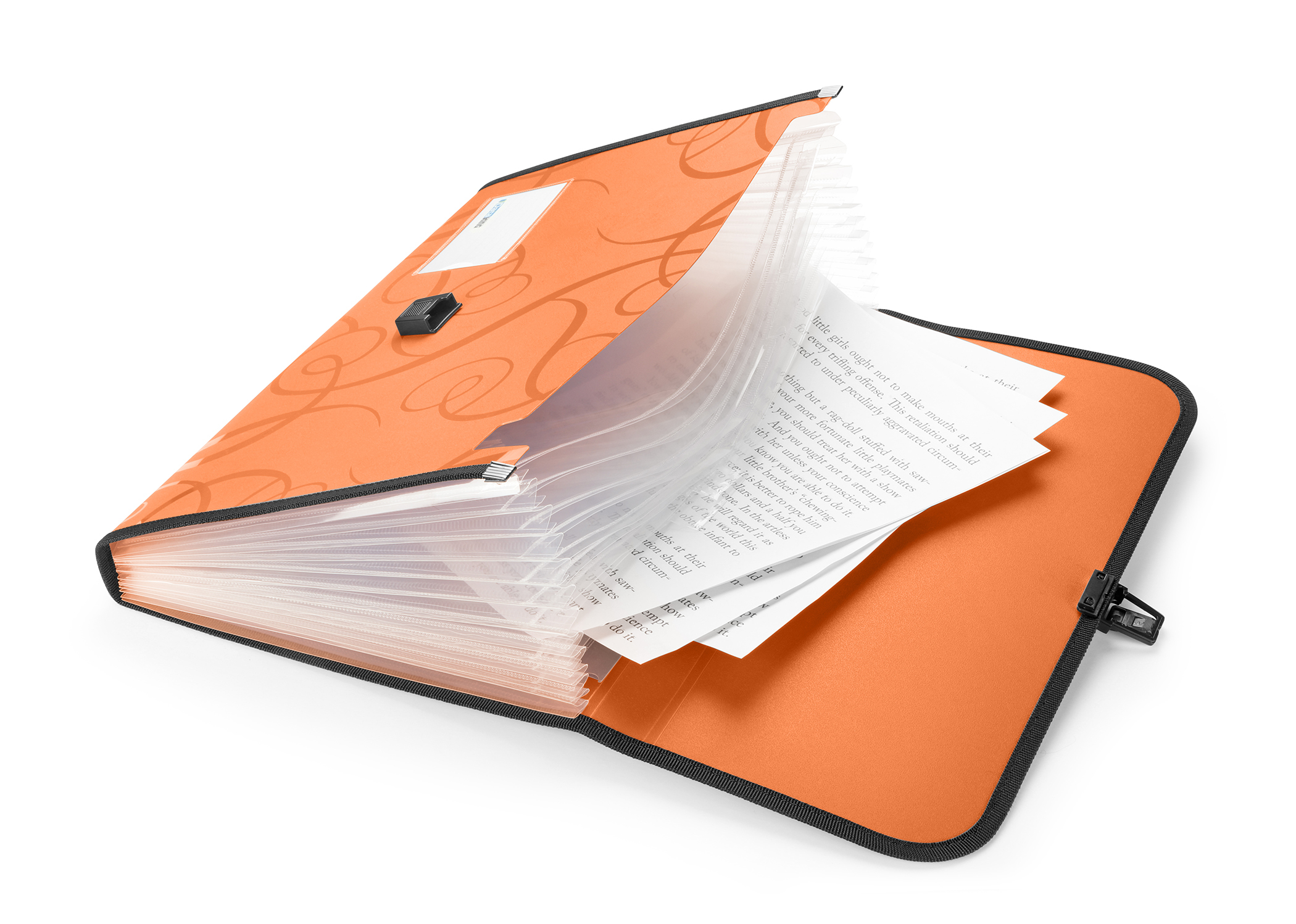 EXPANDING FILE 13 PKTS