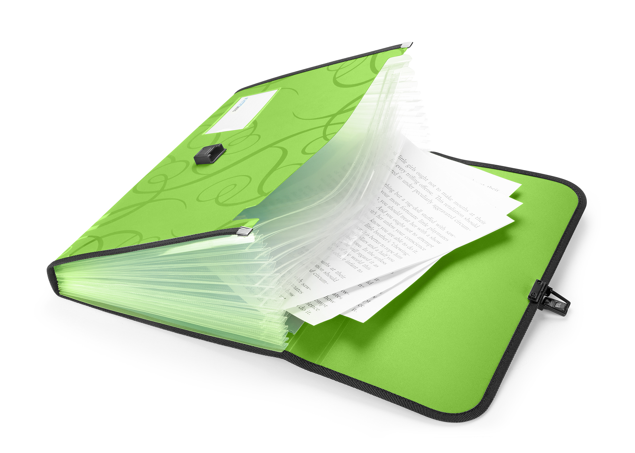 EXPANDING FILE 13 PKTS