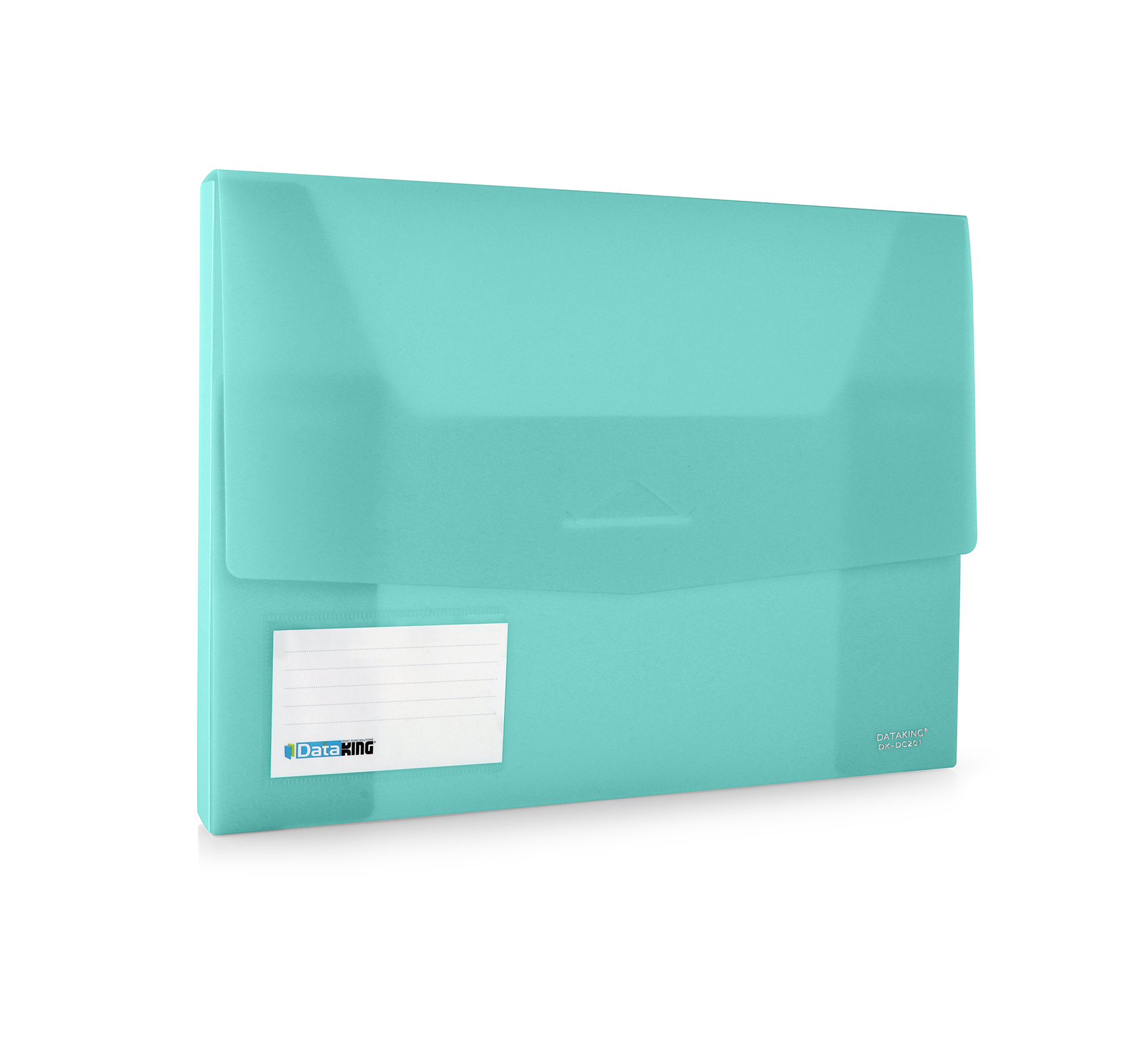 Document Case Opaque