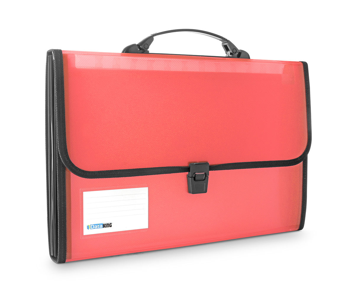 Expanding File Transparent 13 Pockets