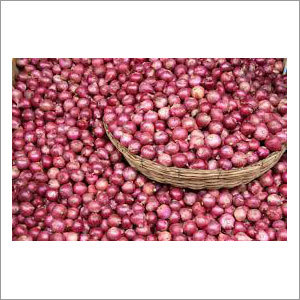 Fresh Red Onion
