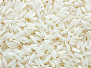 Rice Grain