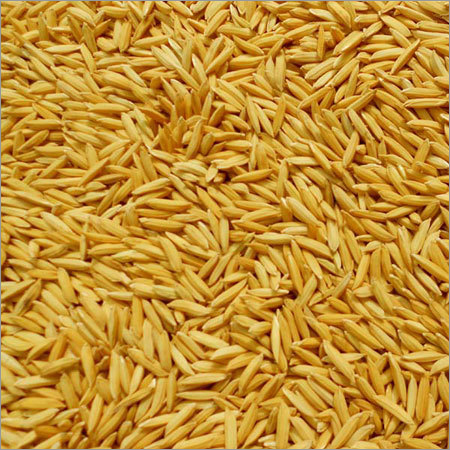 Organic Pusa Paddy