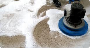 Carpet Shampoo