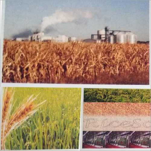 Food Processing ERP Software