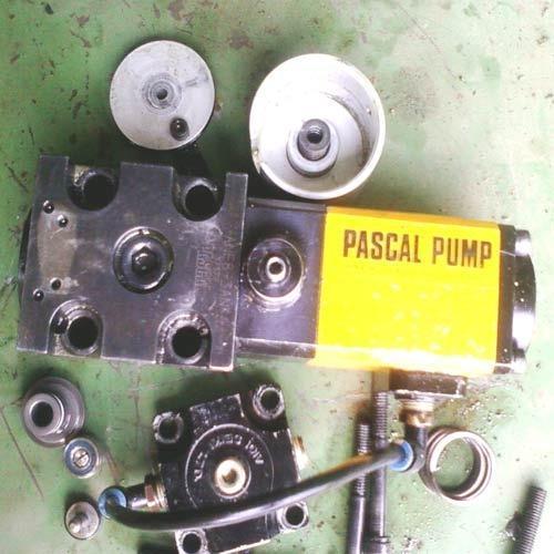 Pascal Pump Repairing Services