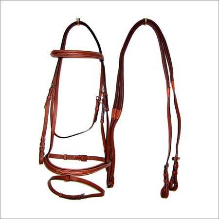 English Bridles Application: Horse Riding