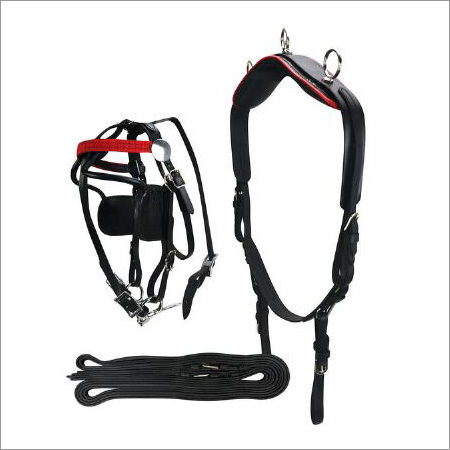 Black Horse Riding Harness