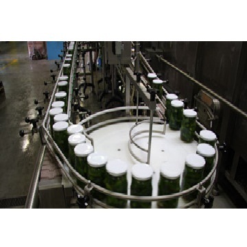 Circular Linear Conveyor