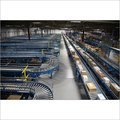 Industrial Conveyor