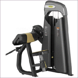 Bicep Machine By BODY FITNESS EQUIPS