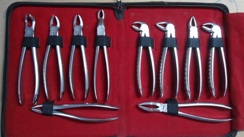 Stainless Steel Dental Forcep