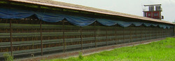 Side Curtains