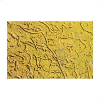 Textured Wall Plaster