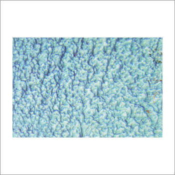 Cement Plaster