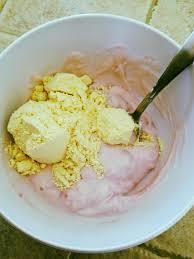 Yogurt Powder