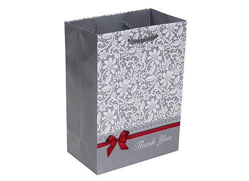 Glossy Lamination Stylish Paper Bags