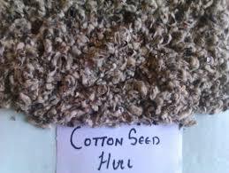Cotton seed Hulls
