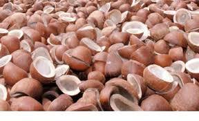 Coconut Copra
