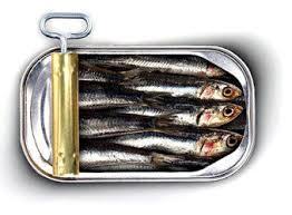 Canned Sardine