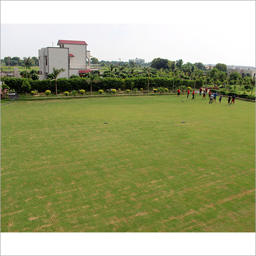 Lawn