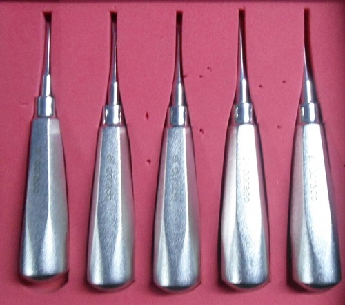 Stainless Steel Luxiator Silver