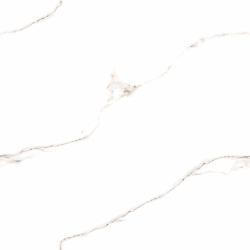 GLOSSY COLLECTION 24X24" PORCELAIN TILES