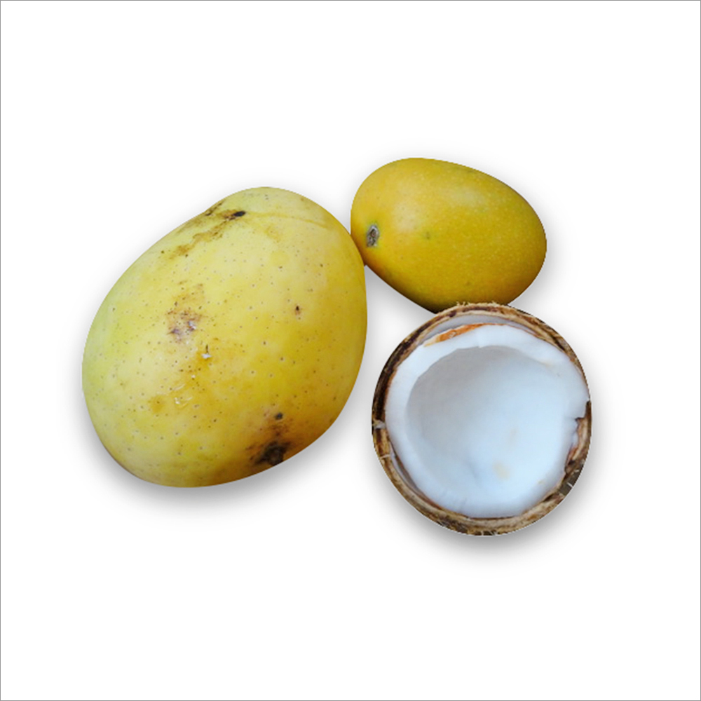 Herbal Coconut Scrub
