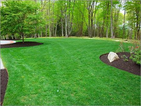 Moisture Proof Artificial Lawn Grass