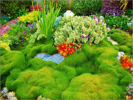 Korean Grass Mat