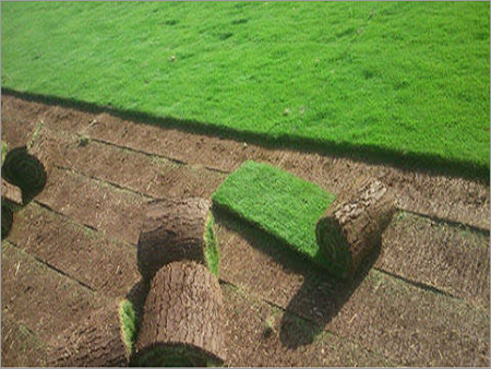 Synthetic Grass Mat