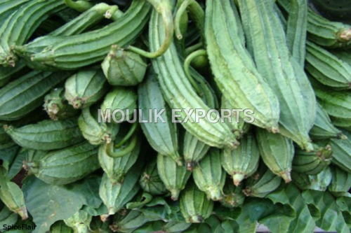 Ridge Gourd