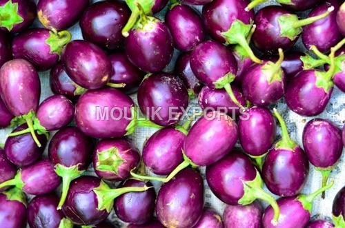 Organic Brinjal Organic Brinjal