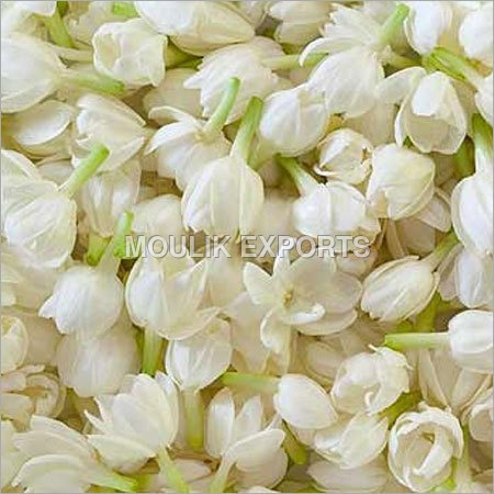 Jasmine Flowers